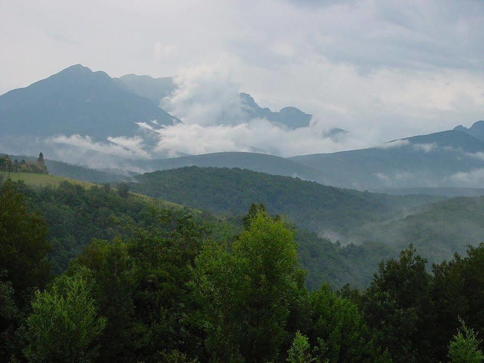 Vila Wilderness Metanoia Exteriér fotografie